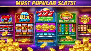 ক্রিকেট ও ফুটবল বিনোদন – 144 bet স্পোর্টস সেকশন