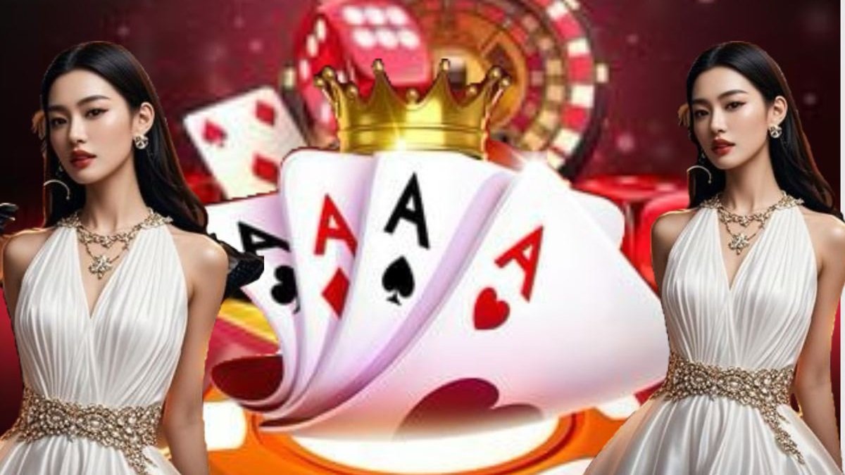 144 bet ক্যাসিনো প্রাইভেসি গাইড — অনলাইন নিরাপত্তার ধারণা